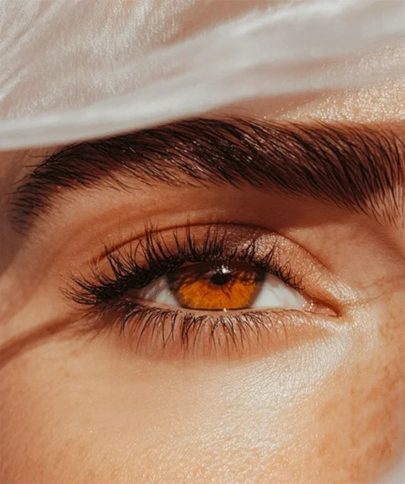 Lash Oil